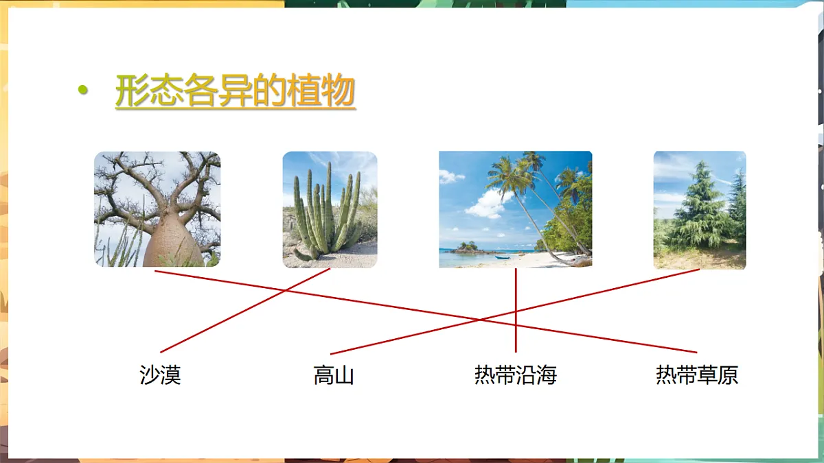 17923255第3页