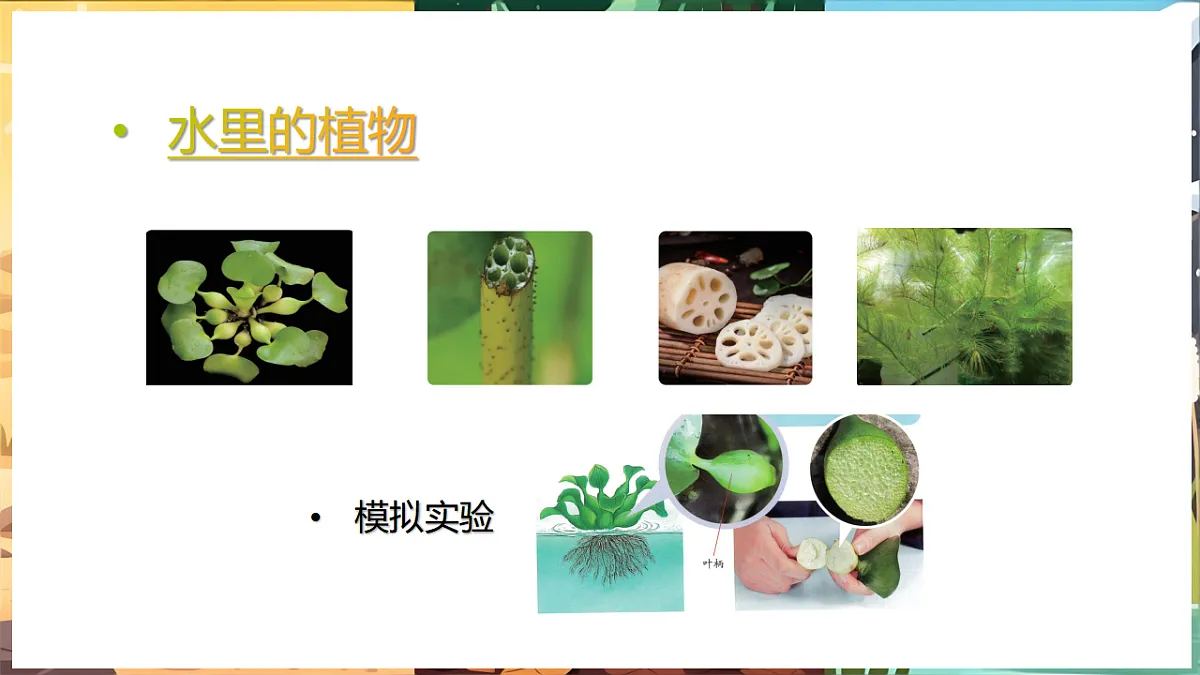 17923255第5页