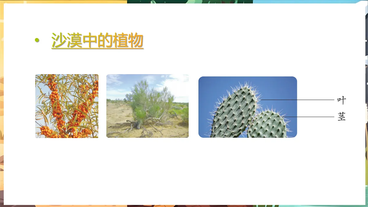 17923255第6页