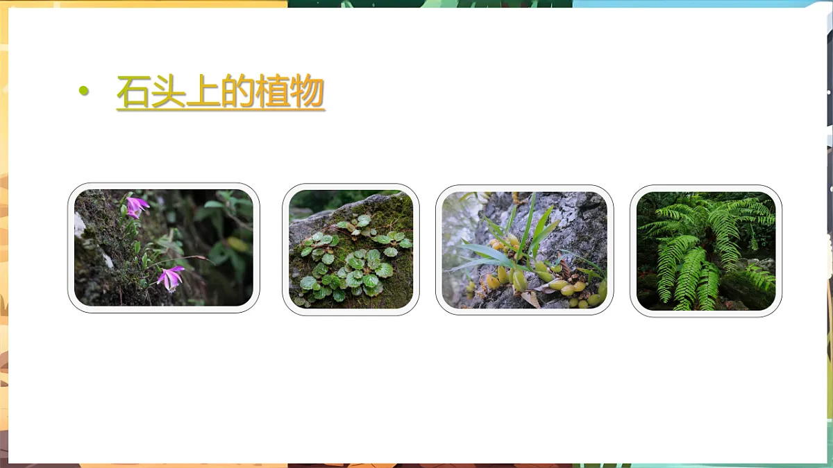 17923255第8页