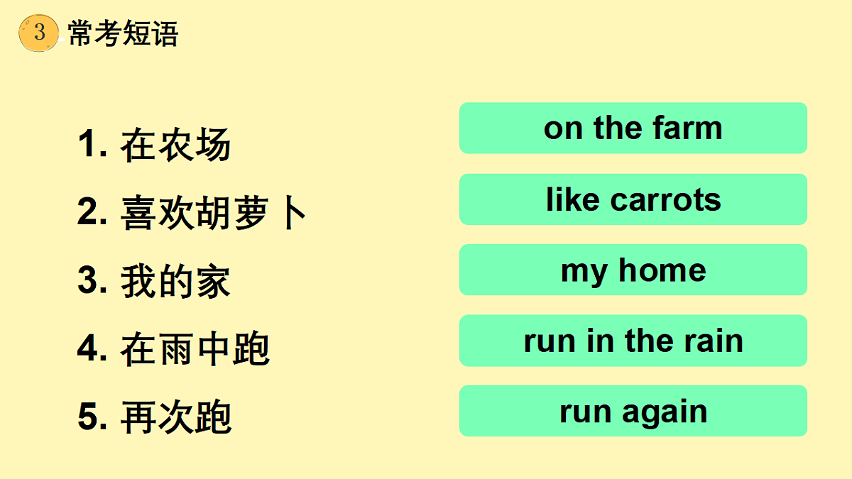 17923985第5页