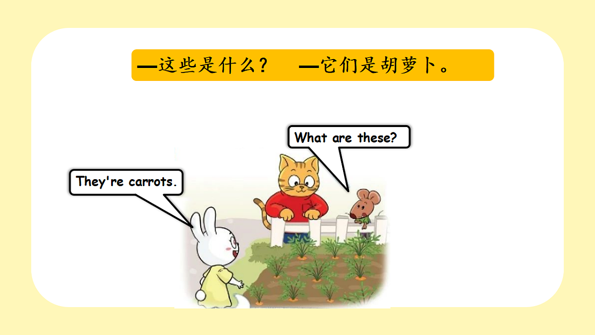 17923985第8页