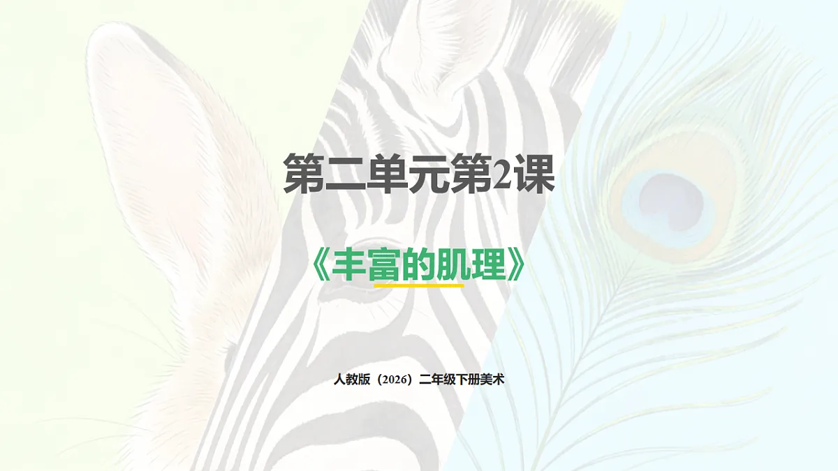 人教版(2026)二年级下册美术第二单元第2课《丰富的肌理》课件第1页