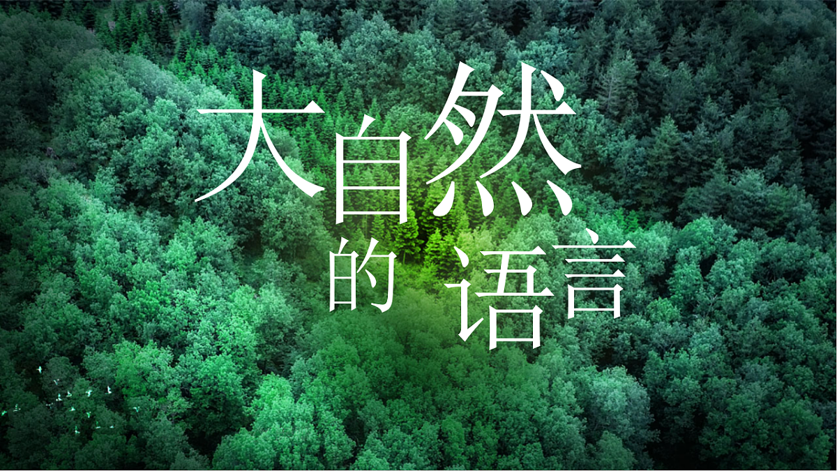 17924940第1页
