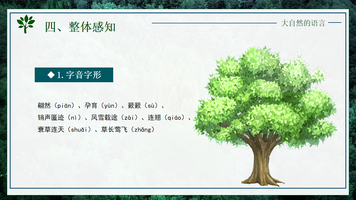 17924940第6页