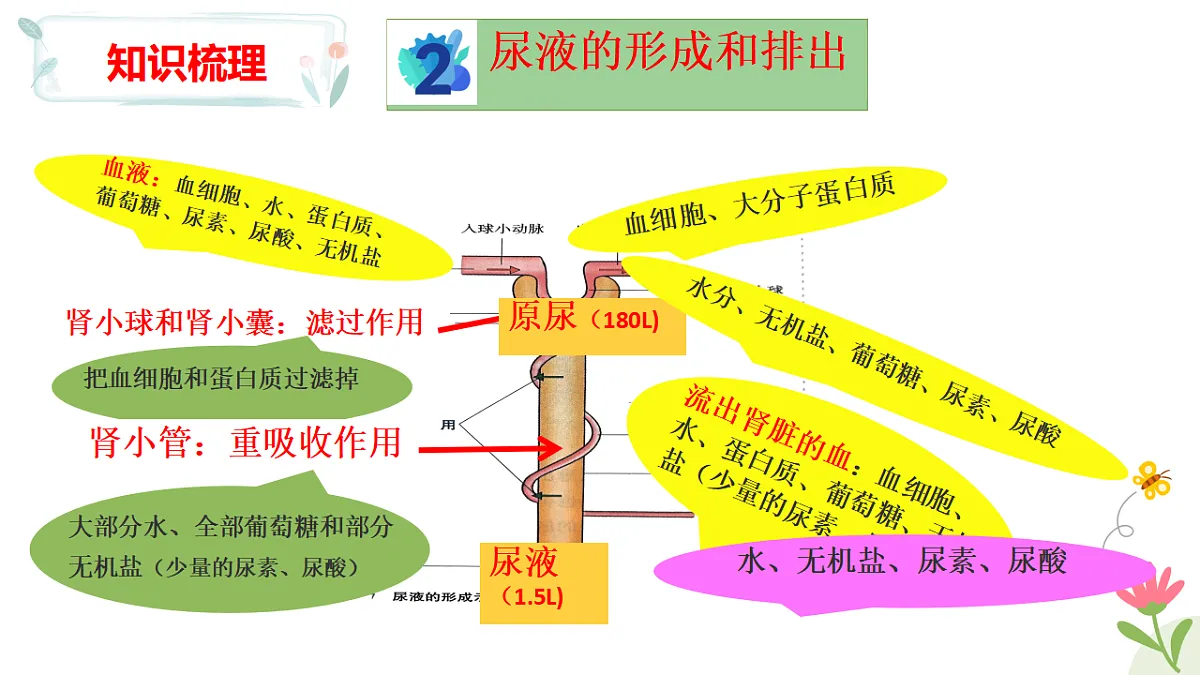 17925079第8页
