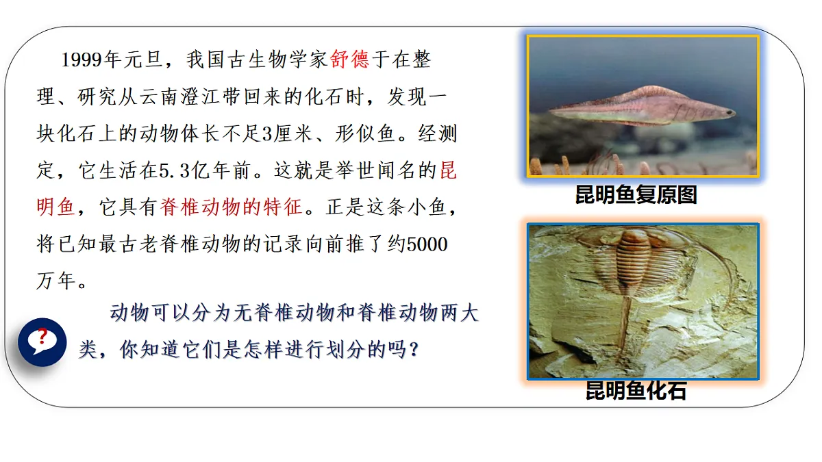 17925516第2页