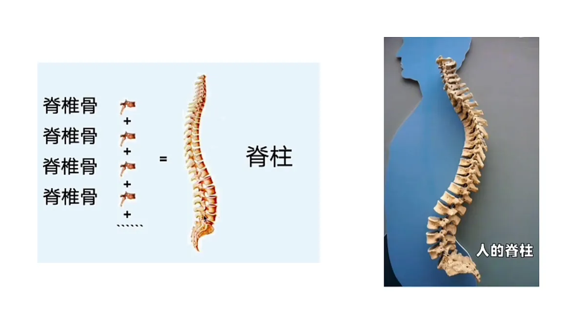 17925516第3页