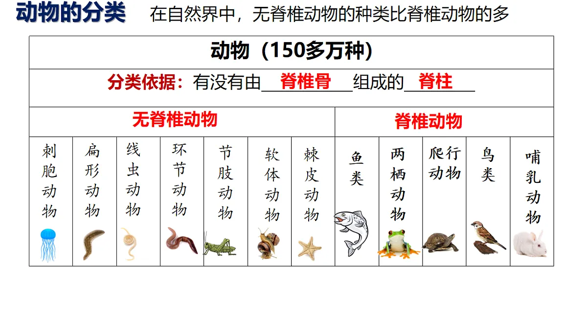 17925516第7页