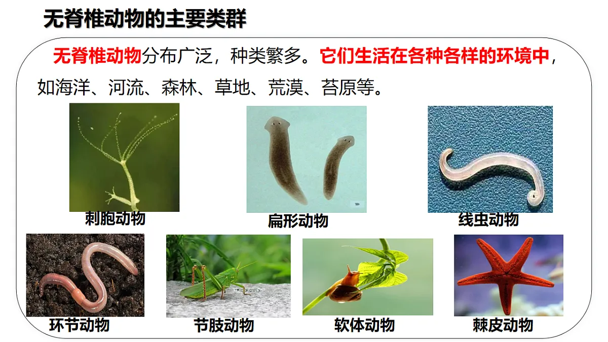 17925516第8页