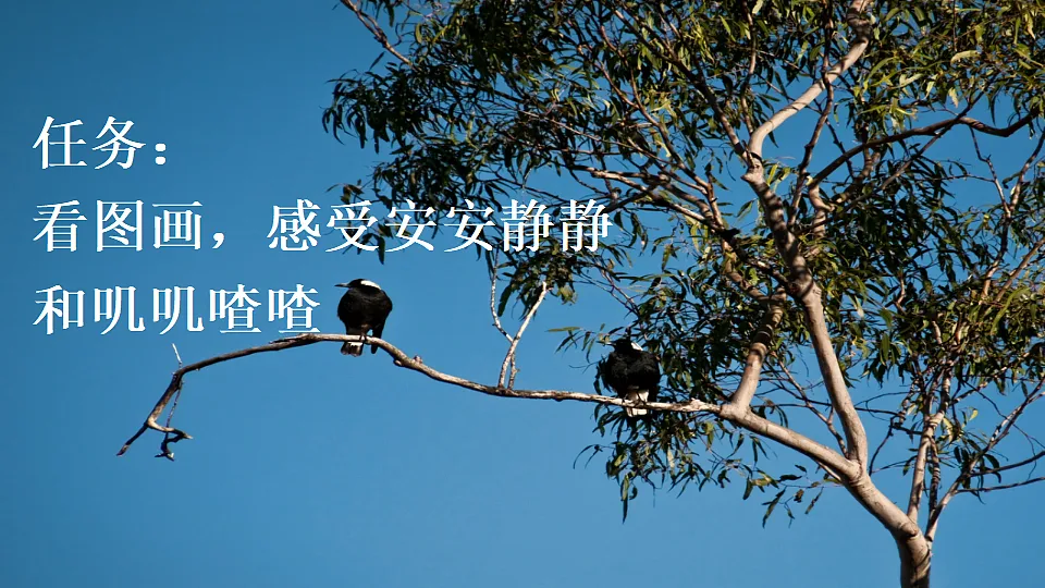 17925638第2页
