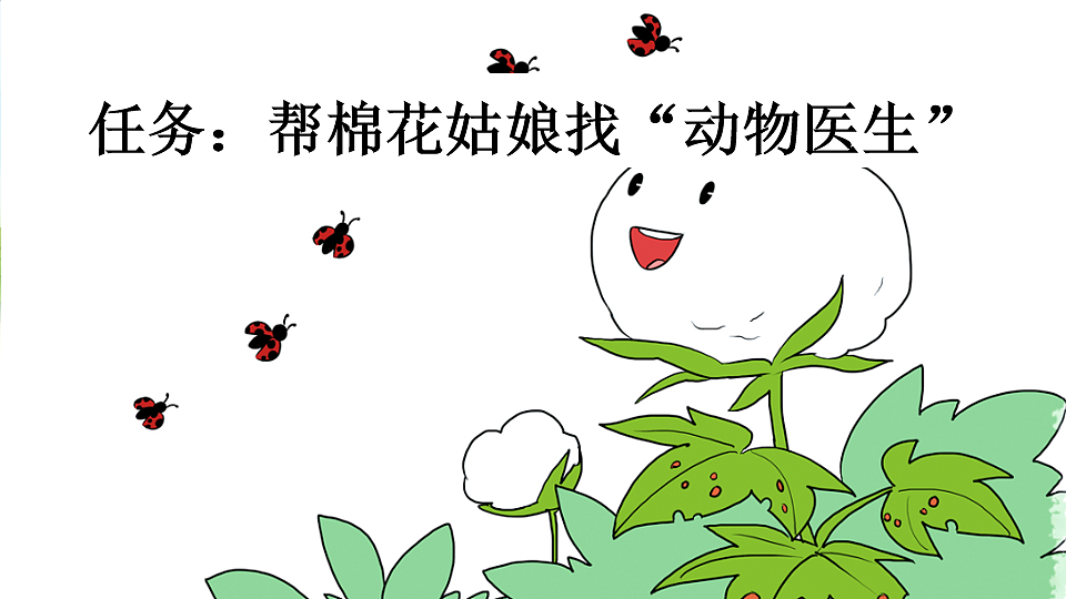 17925650第2页