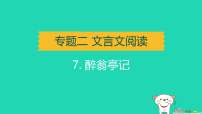 辽宁省2025中考语文专题二文言文阅读课标22篇文言文知识梳理及训练7醉翁亭记练课件