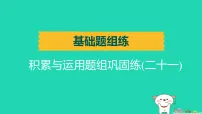 辽宁省2025中考语文基础题组练积累与运用题组巩固练二十一练课件