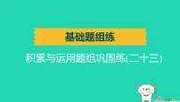 辽宁省2025中考语文基础题组练积累与运用题组巩固练二十三练课件