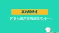 辽宁省2025中考语文基础题组练积累与运用题组巩固练十一练课件