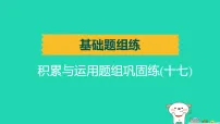 辽宁省2025中考语文基础题组练积累与运用题组巩固练十七练课件