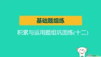 辽宁省2025中考语文基础题组练积累与运用题组巩固练十二练课件