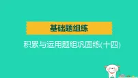 辽宁省2025中考语文基础题组练积累与运用题组巩固练十四练课件