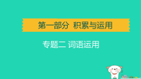 辽宁省2025中考语文第一部分积累与运用专题二词语运用讲课件