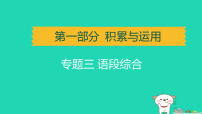 辽宁省2025中考语文第一部分积累与运用专题三语段综合讲课件