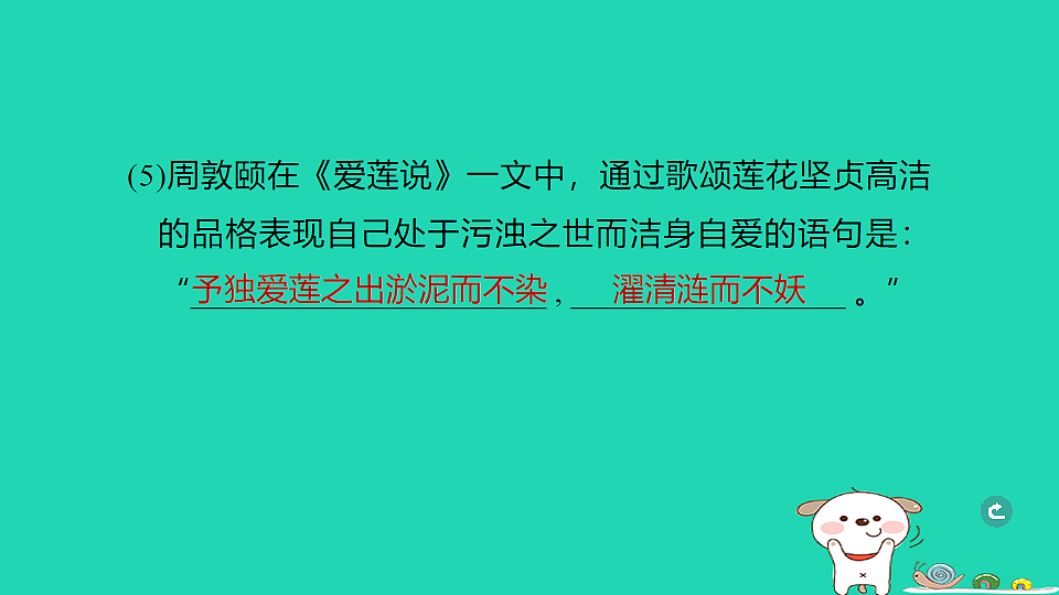 17925837第8页