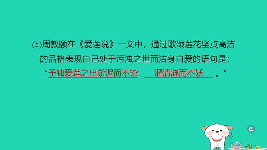17925837第8页