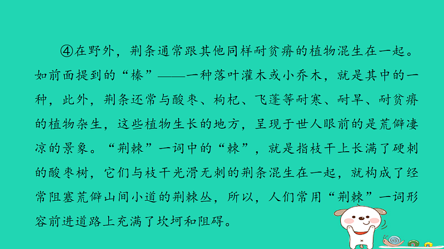 17925840第7页