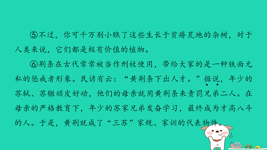 17925840第8页