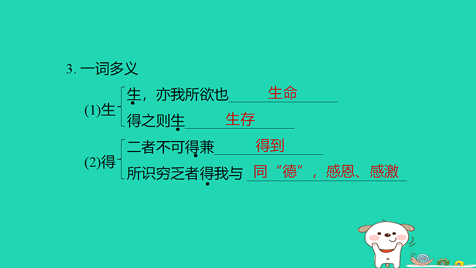 17925855第4页