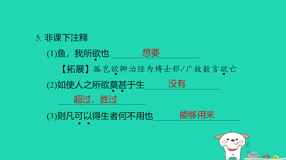17925855第7页