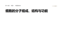 2026届高三生物二轮复习课件（人教版）：专题一　专题强化练　细胞的分子组成、结构与功能（含答案）