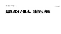 2026届高三生物二轮复习课件(人教版):专题一 必备整合 细胞的物质组成、结构和物质运输(含答案)