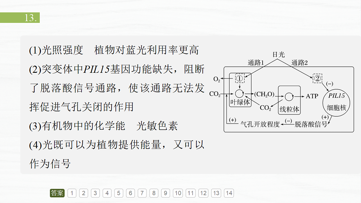 17926290第3页