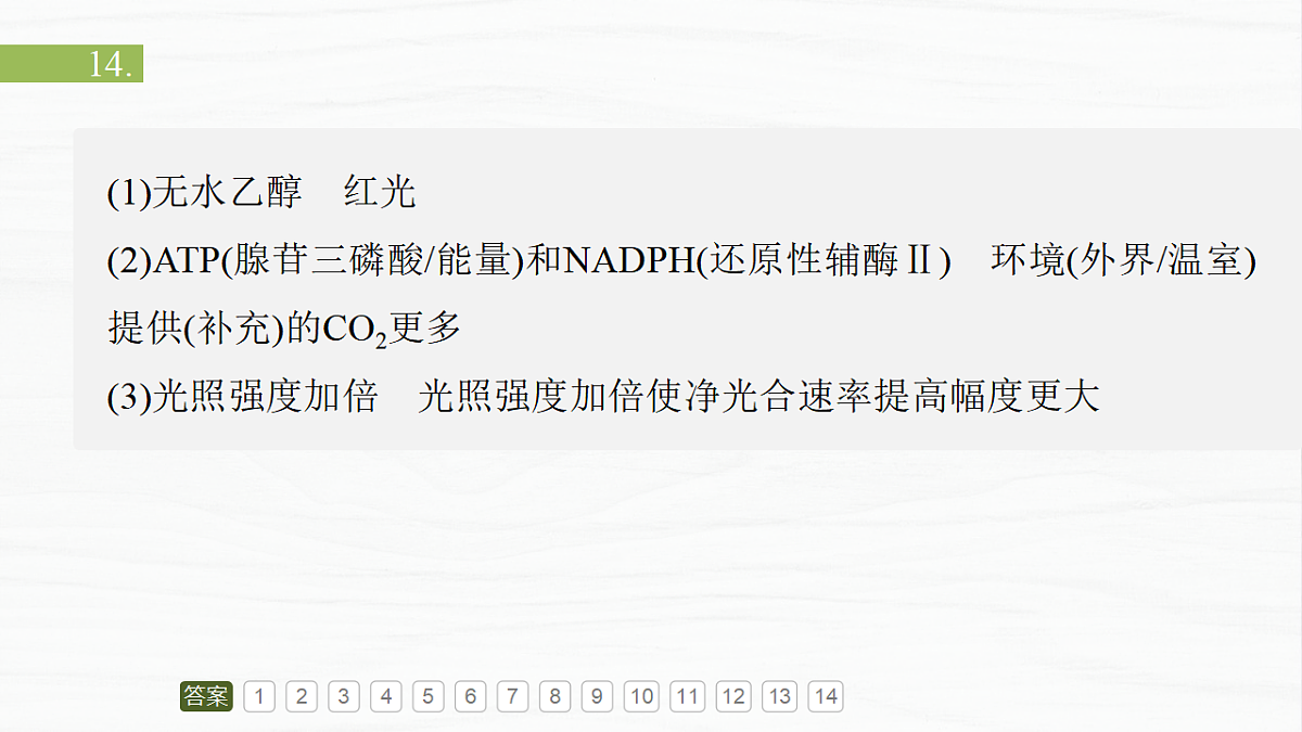 17926290第4页