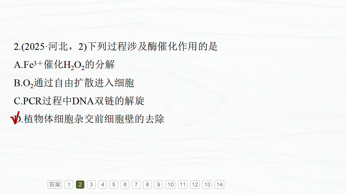 17926290第7页