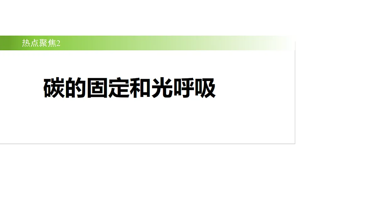 17926294第2页