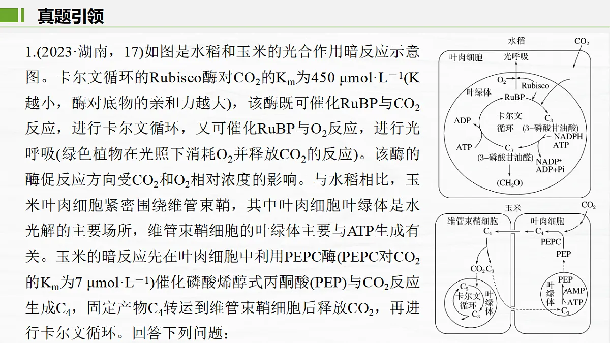 17926294第3页