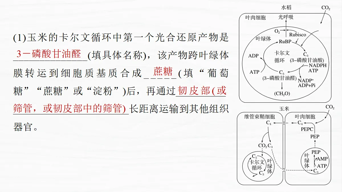17926294第4页