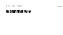 2026届高三生物二轮复习课件（人教版）：专题三　专题强化练　细胞的生命历程（含答案）