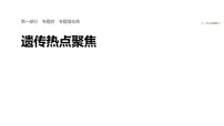 2026届高三生物二轮复习课件（人教版）：专题四　专题强化练　遗传热点聚焦（含答案）