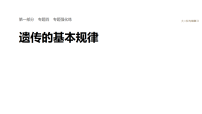 2026届高三生物二轮复习课件（人教版）：专题四　专题强化练　遗传的基本规律（含答案）