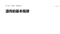 2026届高三生物二轮复习课件（人教版）：专题四　专题强化练　遗传的基本规律（含答案）