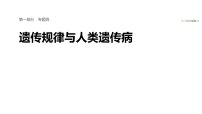 2026届高三生物二轮复习课件（人教版）：专题四　必备整合1　遗传的基本规律（含答案）