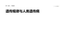 2026届高三生物二轮复习课件（人教版）：专题四　必备整合1　遗传的基本规律（含答案）