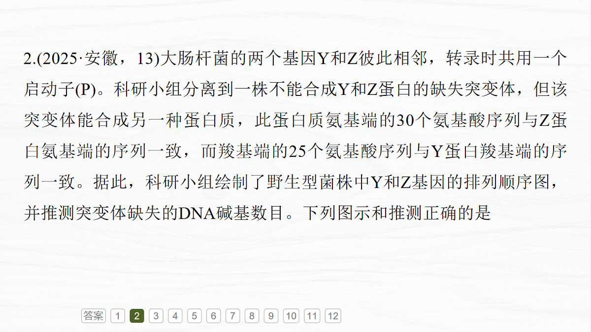 17926307第6页