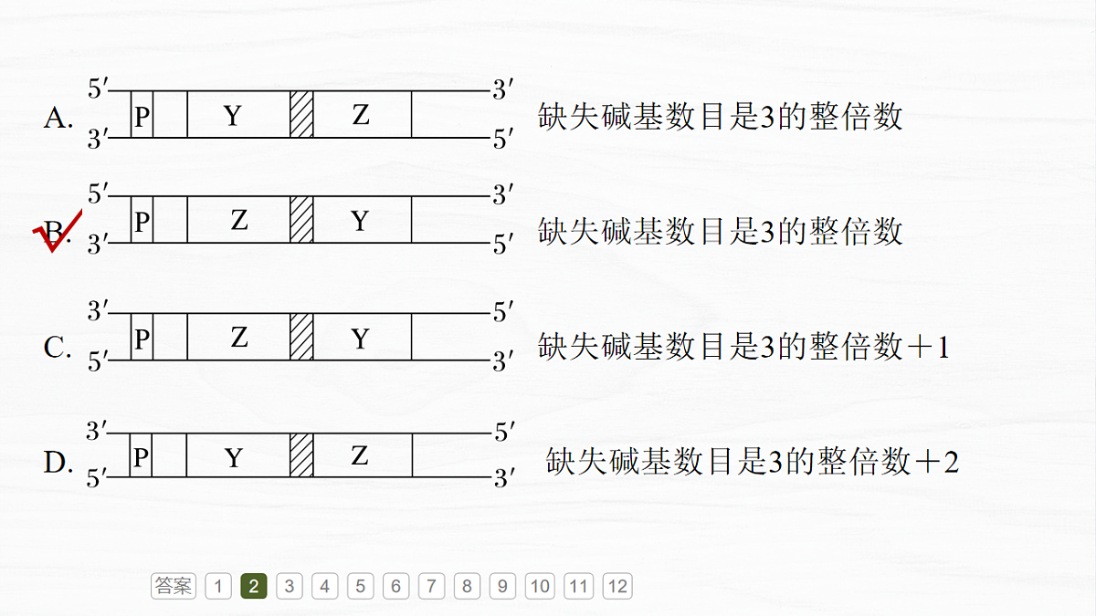 17926307第7页