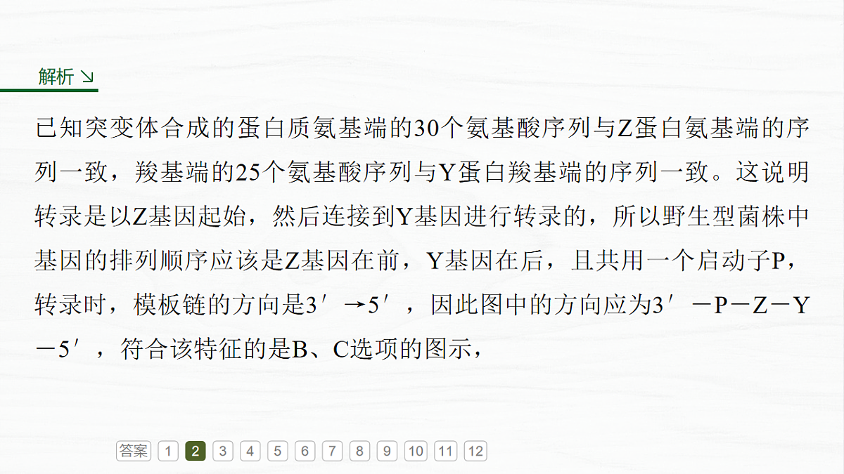 17926307第8页