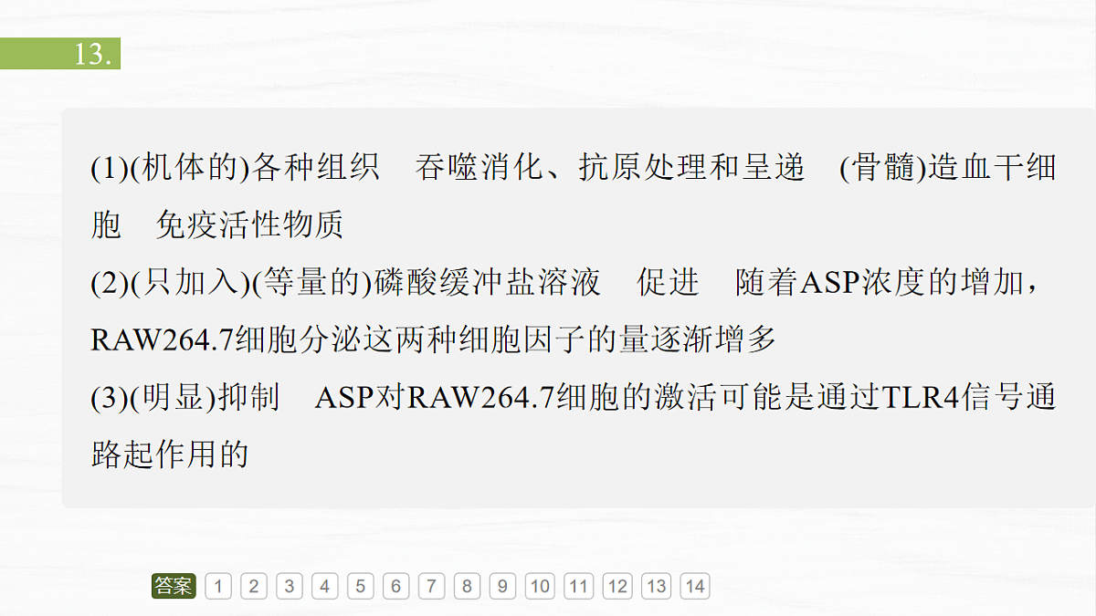 17926314第3页