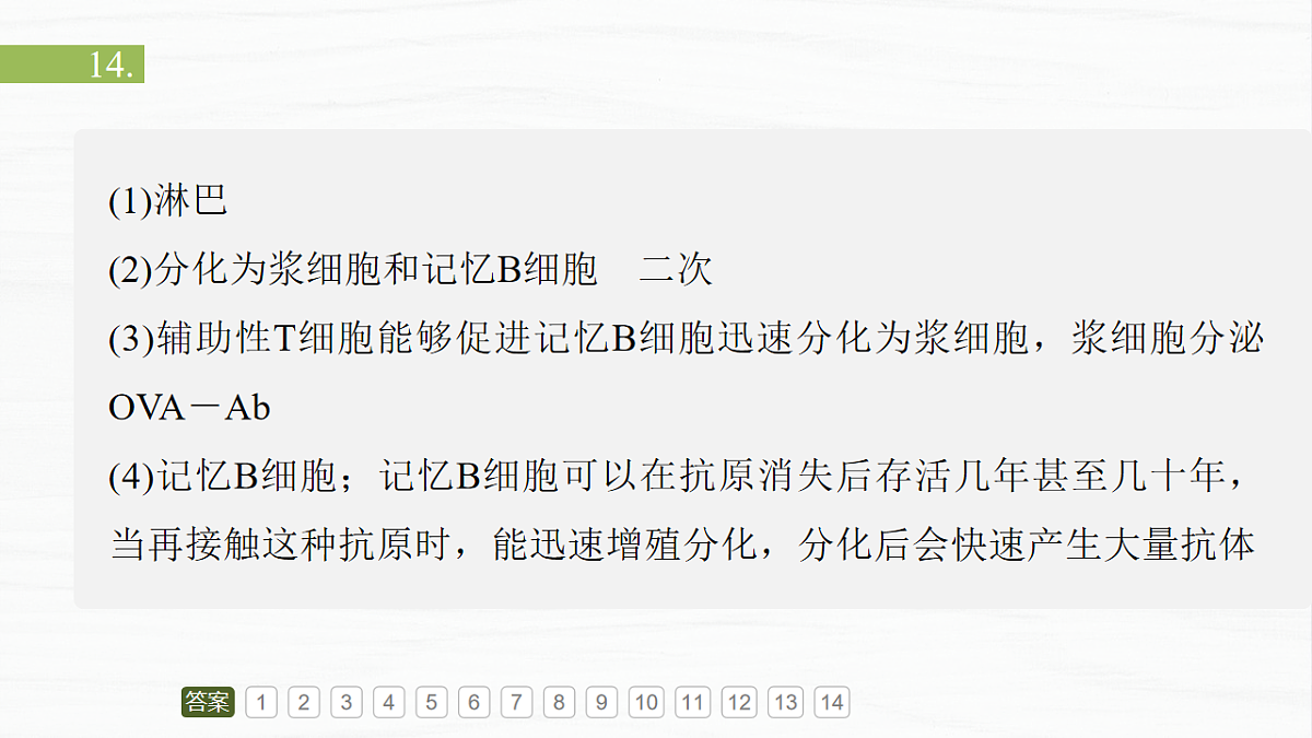 17926314第4页